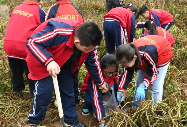 图片3.png 图片3.png