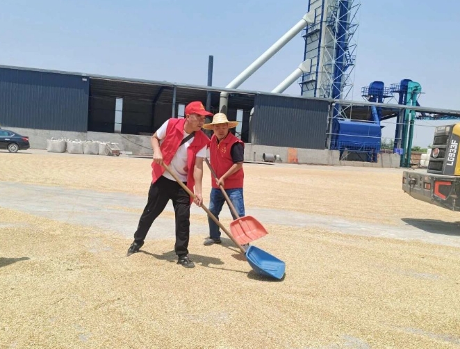 临汾“志愿红”，助力“麦”向丰收！