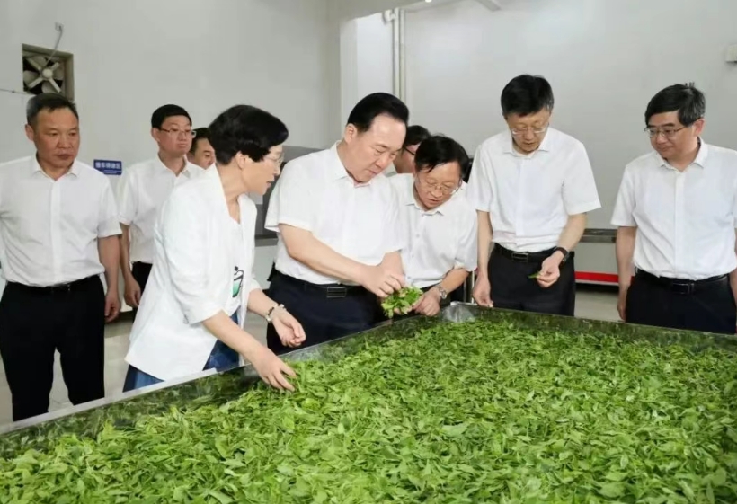 浙江省委书记王浩在淳安调研时强调  护好一湖碧水 放大特色优势  努力成为践行“