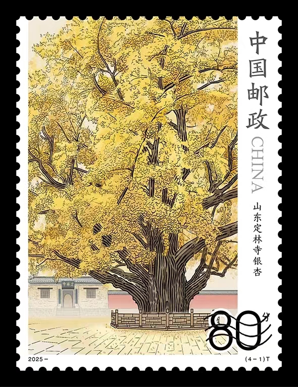 微信图片_20250711182017.jpg 微信图片_20250711182017.jpg