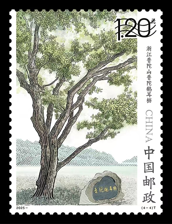 微信图片_20250711182027.jpg 微信图片_20250711182027.jpg