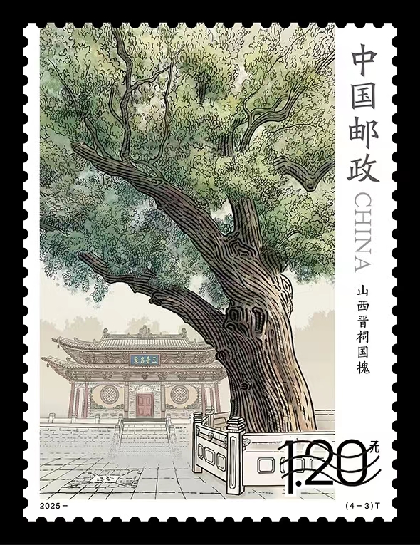 晋祠隋代国槐入选“特种部队”