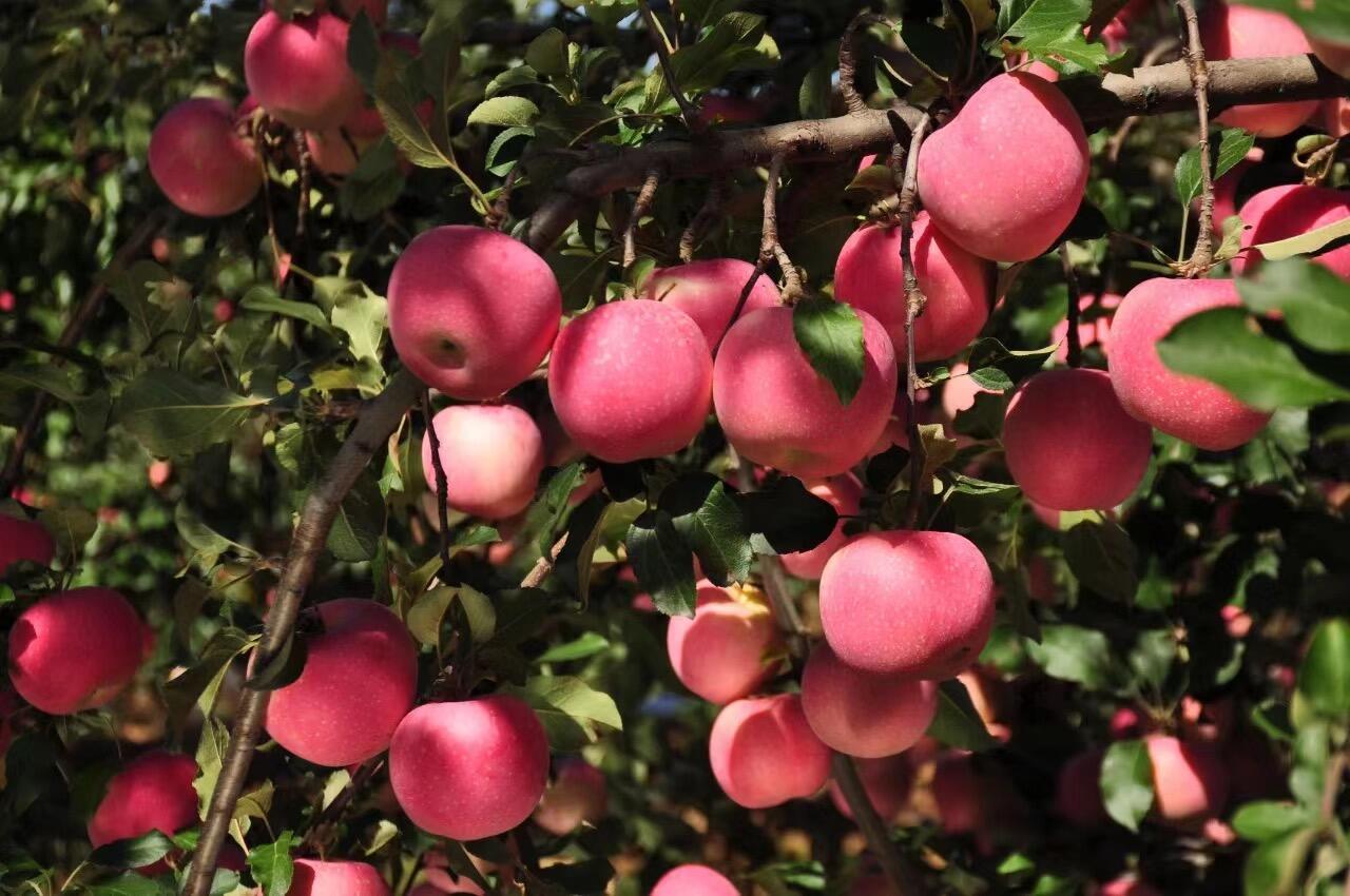 微信图片_20250717190957.jpg 微信图片_20250717190957.jpg