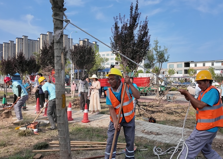 微信截图_20250717193019.png 微信截图_20250717193019.png