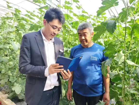 临汾曲沃农商银行：谱写普惠金融服务乡村振兴新篇章