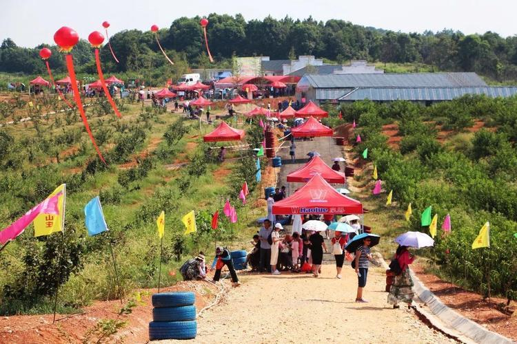 太原阳曲县南留南村的蝶变之路——以“强村富民”助力乡村振兴