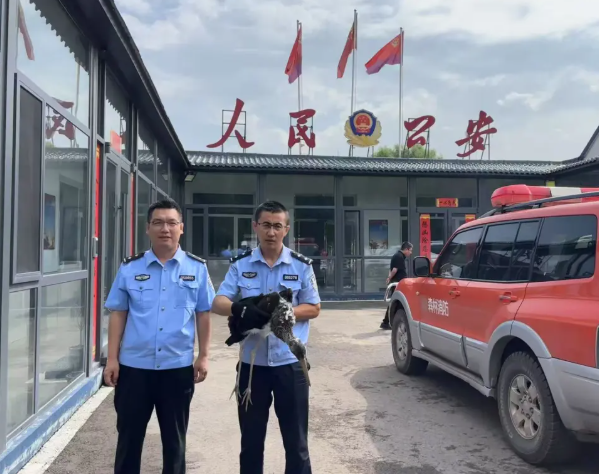 wechat_2025-08-13_234206_180.png wechat_2025-08-13_234206_180.png