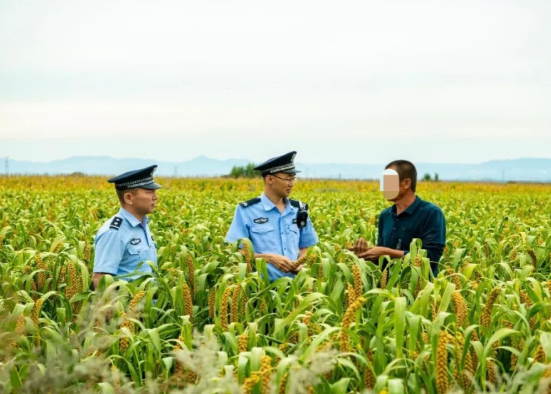 朔州怀仁市公安局河头派出所：“秋收警务”护航村民丰收路