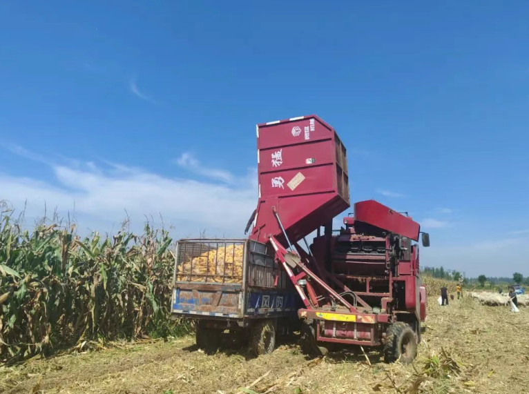 太原小店区北格镇：硬核举措护航秋收  筑牢丰产丰收“压舱石”