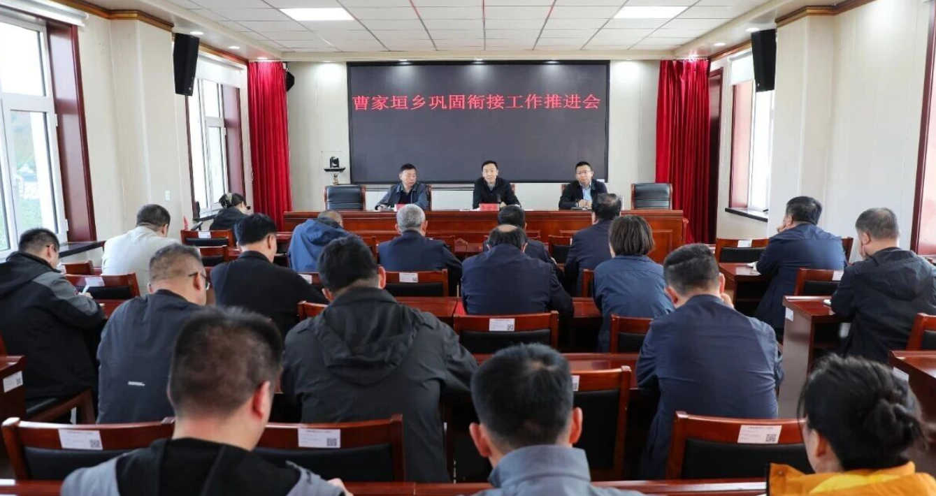 吕梁石楼：韦世平调研督导曹家垣乡巩固衔接工作