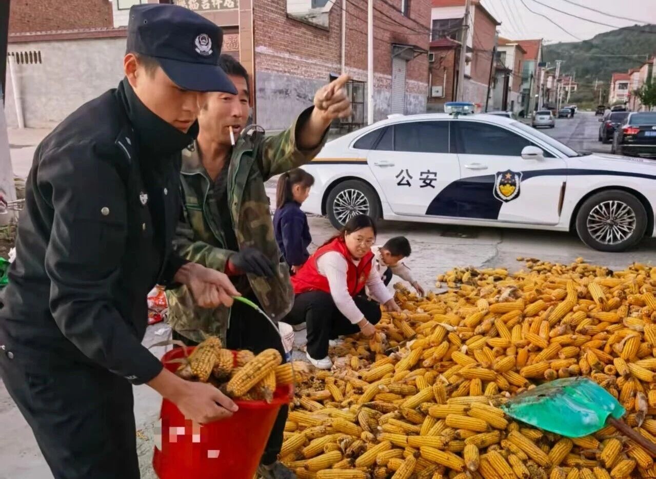 微信图片_2025-10-16_185116_418.jpg