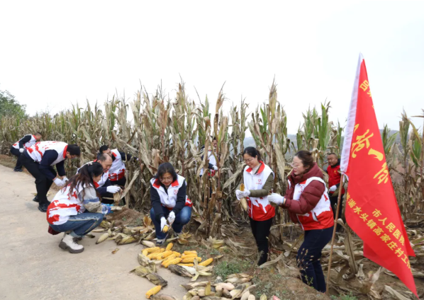 吕梁市第一人民医院赴临县湍水头镇高家庄村开展“双抢一保”主题党日暨义诊活动