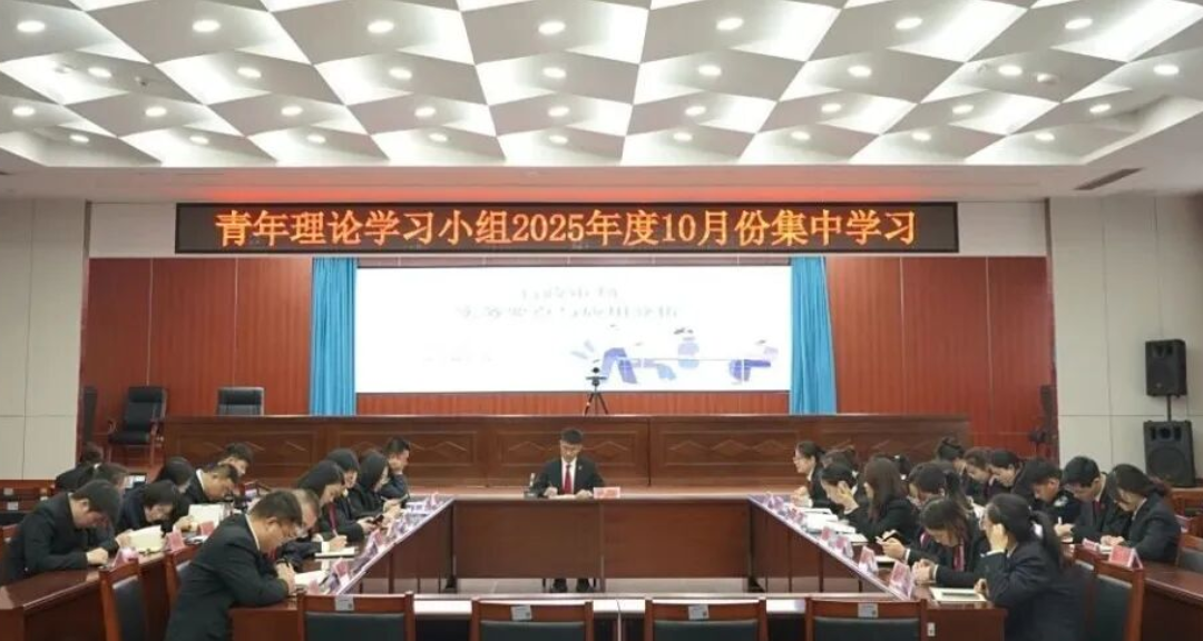 临汾洪洞法院组织开展青年理论学习小组10月份集中学习