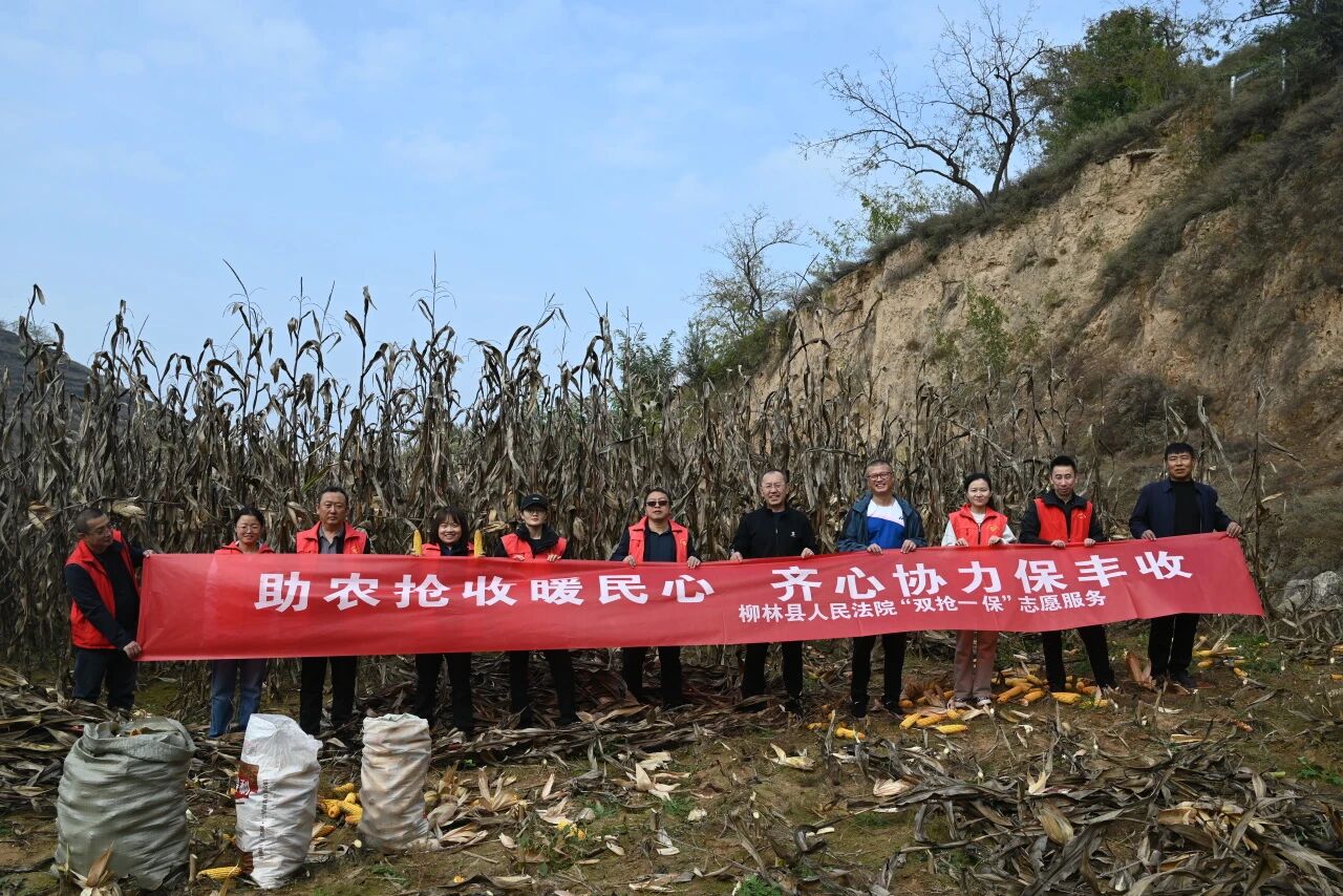 吕梁柳林县法院：党旗飘扬映金秋  暖心助力帮扶村