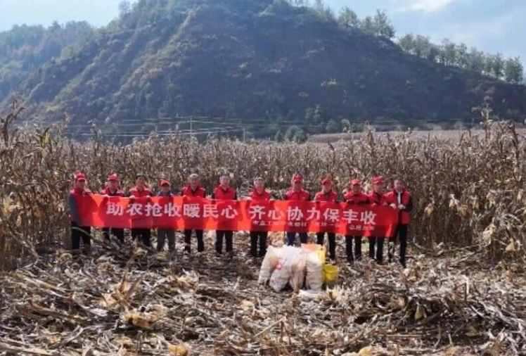 精准帮扶解民忧  抢收秋粮保民生 ——吕梁市直工委党员突击队奋战来堡村保丰收