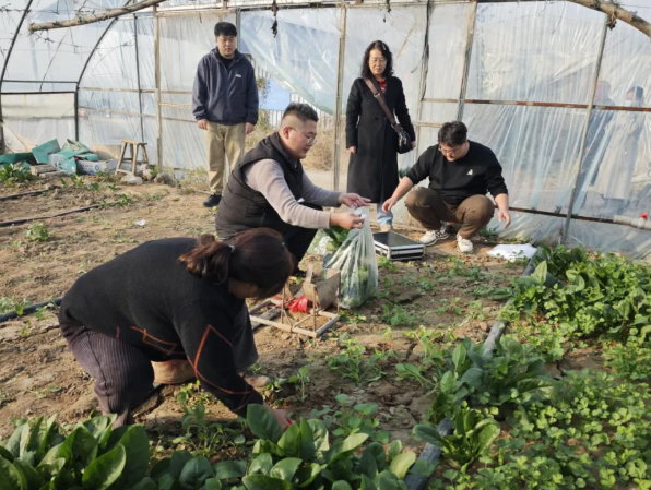 临汾翼城县开展省级农产品质量安全抽样检测工作