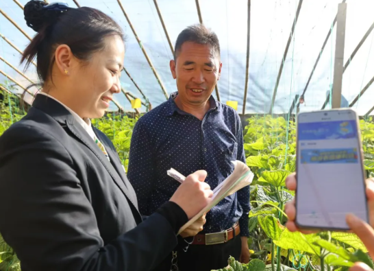 临汾浮山农商银行：普惠金融“沉下去” 民生温度“升上来”