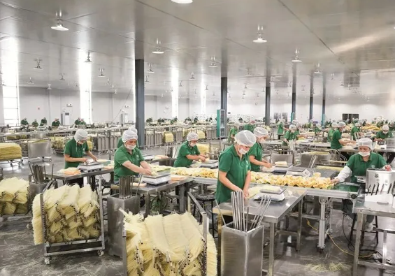 ScreenShot_2025-12-31_130912_552.png ScreenShot_2025-12-31_130912_552.png