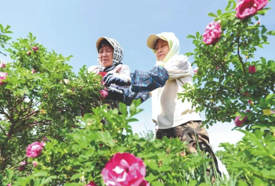 ScreenShot_2025-12-31_130311_847.png ScreenShot_2025-12-31_130311_847.png