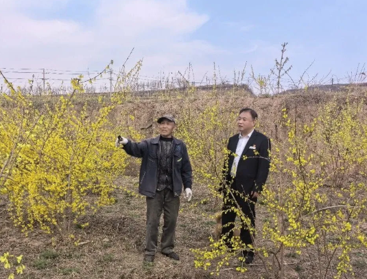 临汾浮山农商银行：深学笃行强担当  实干奋进促发展