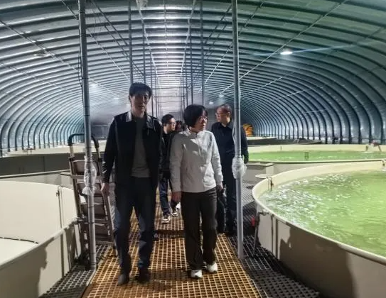 国家级调研组走进太原尖草坪区：抓实渔业数据  助力特色养殖提