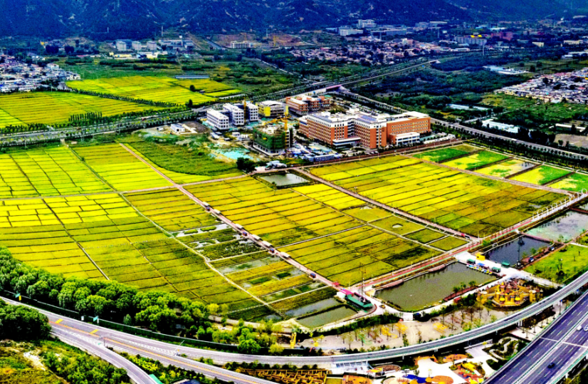 太原晋源区描绘城乡共兴富民强区新画卷