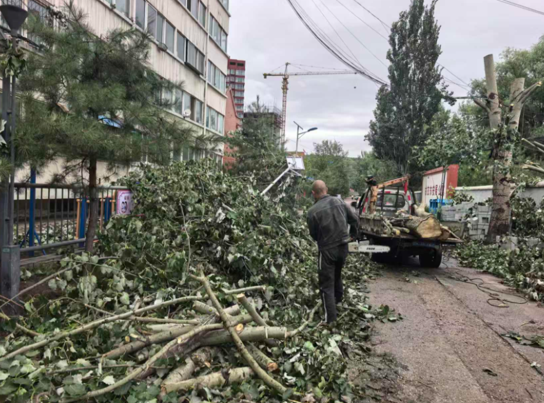太原古交市屯兰街道：风雨过后速清障  枝叶总关情